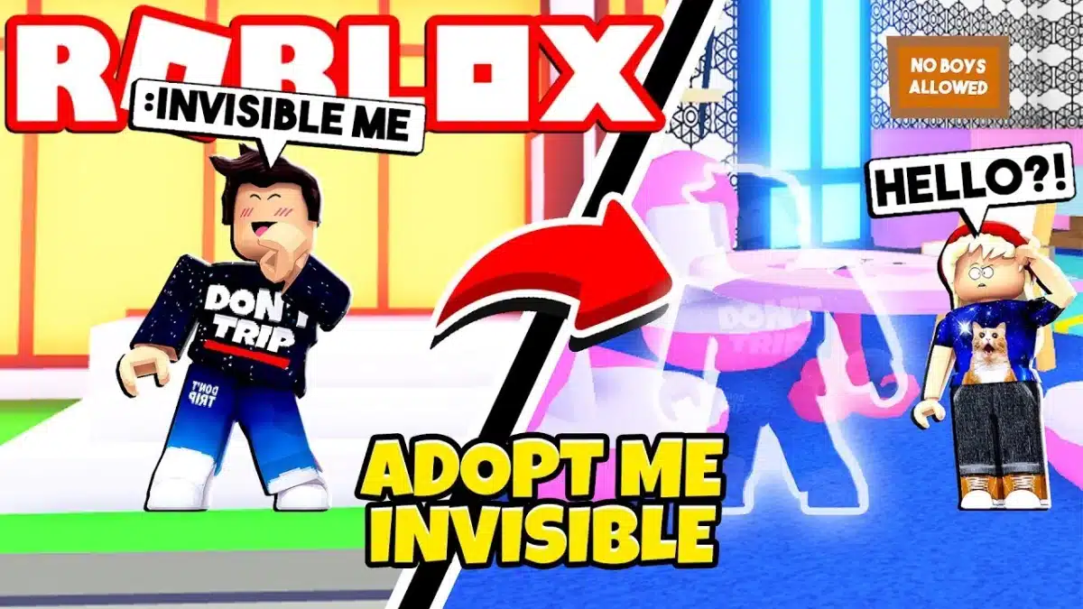 Adopt Me Invisible