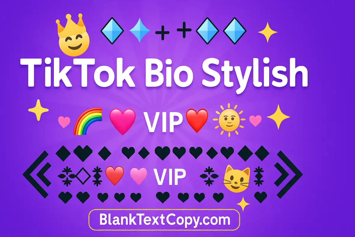 TikTok Bio Stylish